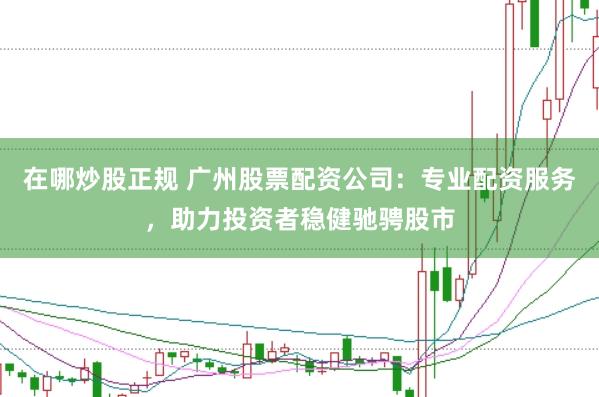 在哪炒股正规 广州股票配资公司：专业配资服务，助力投资者稳健驰骋股市