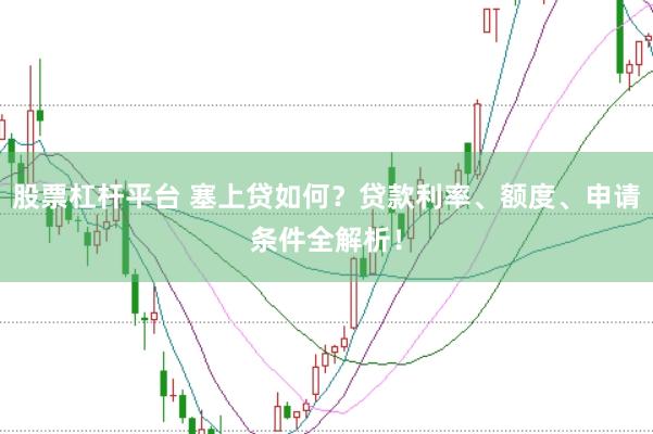 股票杠杆平台 塞上贷如何？贷款利率、额度、申请条件全解析！