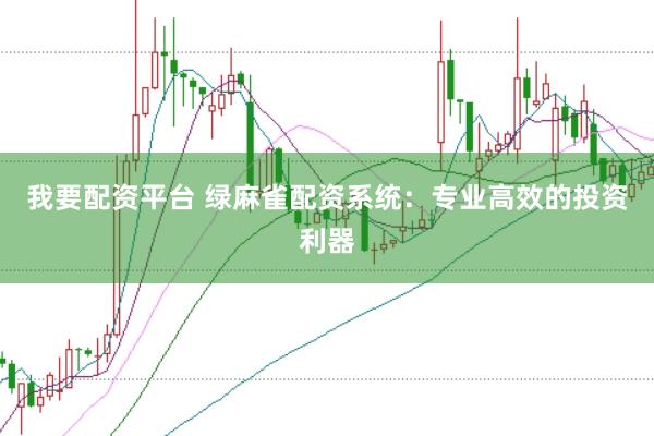 我要配资平台 绿麻雀配资系统：专业高效的投资利器