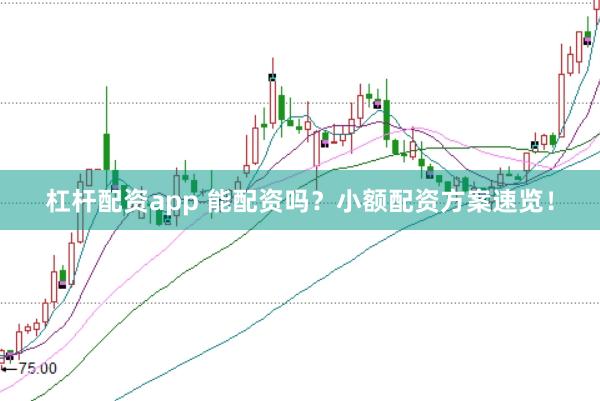 杠杆配资app 能配资吗？小额配资方案速览！
