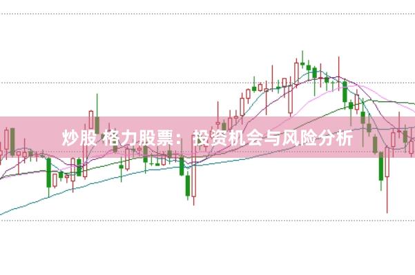 炒股 格力股票：投资机会与风险分析