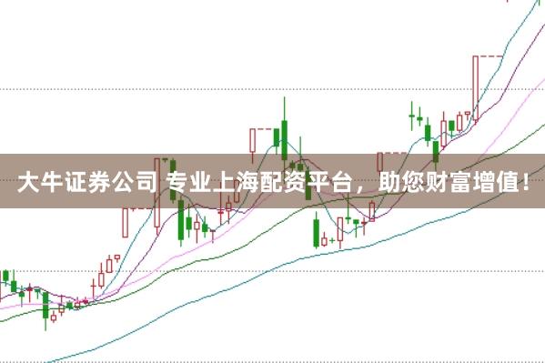 大牛证券公司 专业上海配资平台，助您财富增值！