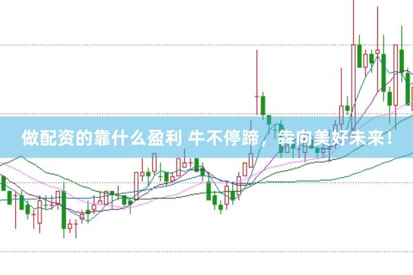 做配资的靠什么盈利 牛不停蹄，犇向美好未来！