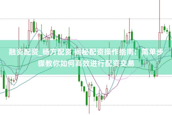融资配资_杨方配资 揭秘配资操作指南：简单步骤教你如何高效进行配资交易