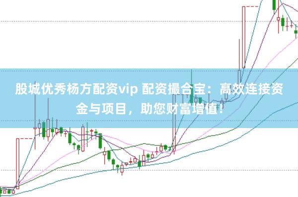 股城优秀杨方配资vip 配资撮合宝：高效连接资金与项目，助您财富增值！