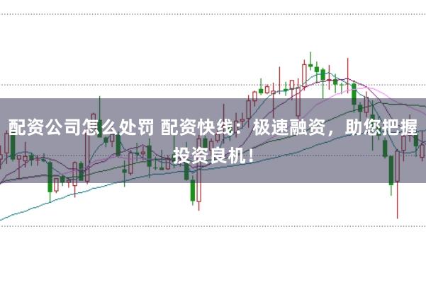 配资公司怎么处罚 配资快线：极速融资，助您把握投资良机！