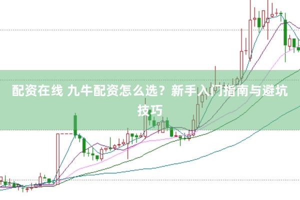 配资在线 九牛配资怎么选？新手入门指南与避坑技巧