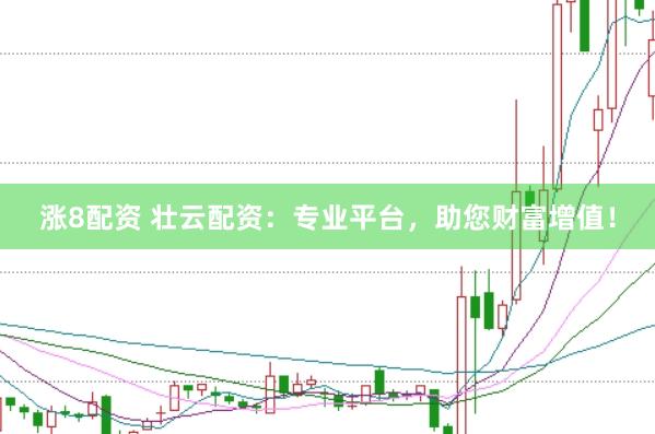 涨8配资 壮云配资：专业平台，助您财富增值！