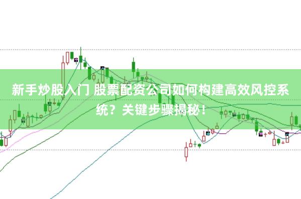 新手炒股入门 股票配资公司如何构建高效风控系统？关键步骤揭秘！