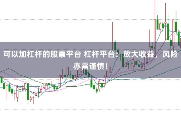 可以加杠杆的股票平台 杠杆平台：放大收益，风险亦需谨慎！