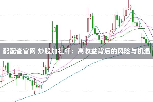 配配查官网 炒股加杠杆：高收益背后的风险与机遇