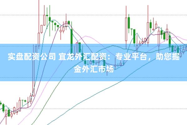 实盘配资公司 宜龙外汇配资：专业平台，助您掘金外汇市场