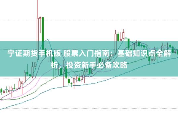 宁证期货手机版 股票入门指南:基础知识点全解析,投资新手必备攻略