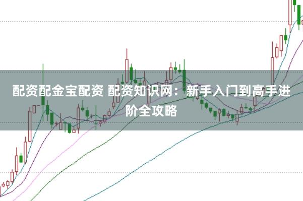 配资配金宝配资 配资知识网:新手入门到高手进阶全攻略