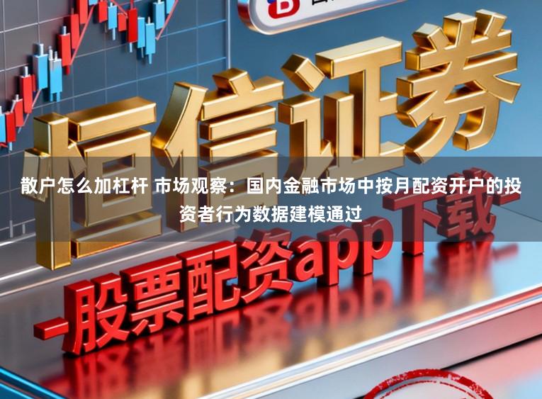 散户怎么加杠杆 市场观察：国内金融市场中按月配资开户的投资者行为数据建模通过