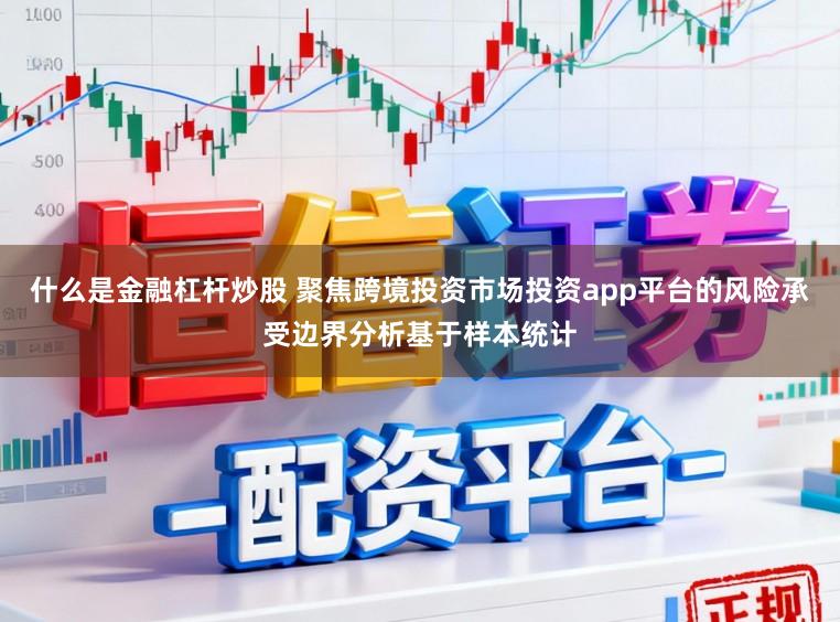 什么是金融杠杆炒股 聚焦跨境投资市场投资app平台的风险承受边界分析基于样本统计