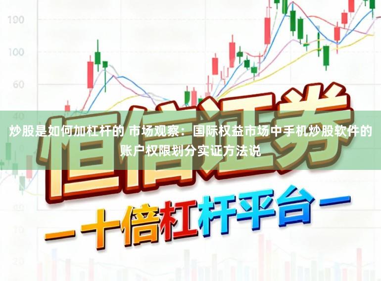 炒股是如何加杠杆的 市场观察：国际权益市场中手机炒股软件的账户权限划分实证方法说