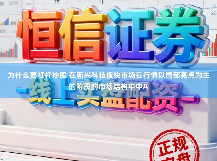 为什么要杠杆炒股 在新兴科技板块市场在行情以局部亮点为主的阶段的市场结构中中A