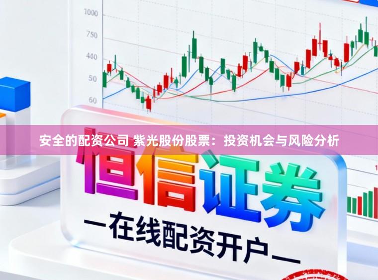 安全的配资公司 紫光股份股票：投资机会与风险分析